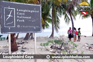 SDC Laughing Bird Caye