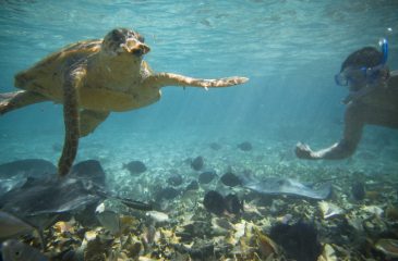 Belize | Doing Its Part to Reduce Pollution.jpg